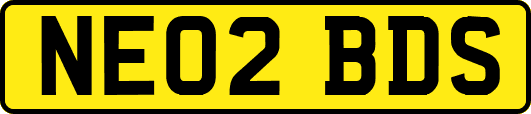 NE02BDS