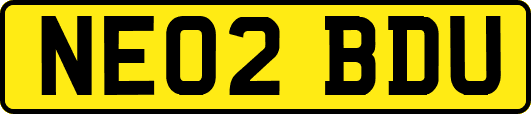 NE02BDU