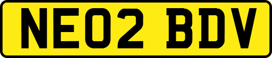 NE02BDV