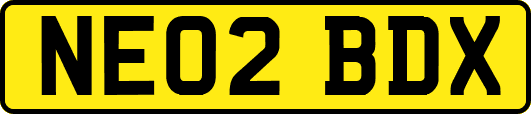 NE02BDX