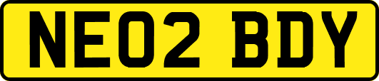 NE02BDY