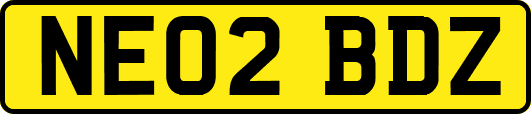 NE02BDZ