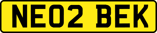 NE02BEK