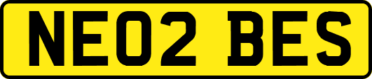 NE02BES