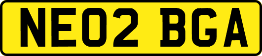 NE02BGA