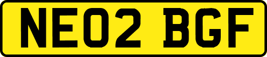 NE02BGF