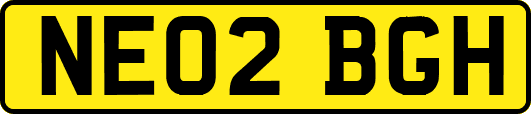 NE02BGH
