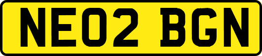NE02BGN