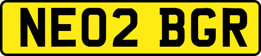 NE02BGR