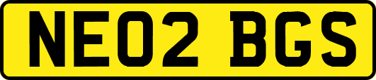 NE02BGS