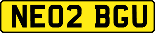 NE02BGU