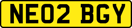 NE02BGY