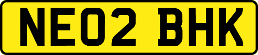 NE02BHK