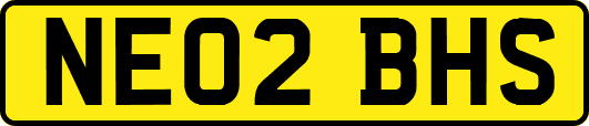 NE02BHS