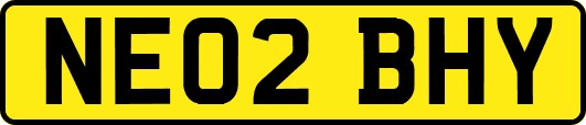 NE02BHY