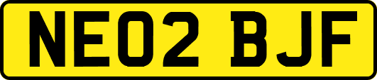 NE02BJF