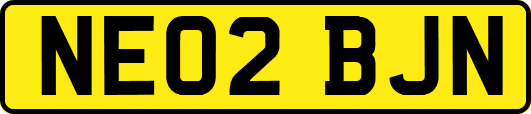 NE02BJN