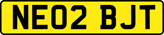 NE02BJT