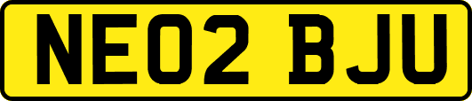 NE02BJU