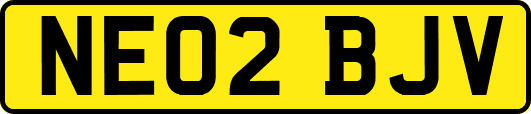 NE02BJV
