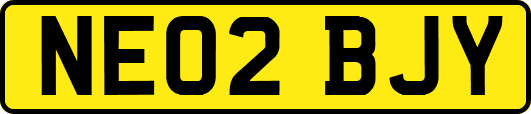 NE02BJY