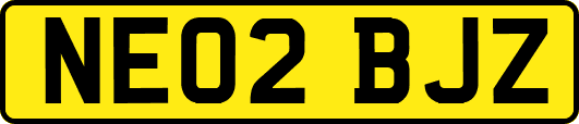 NE02BJZ