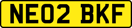 NE02BKF