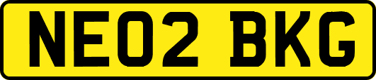NE02BKG