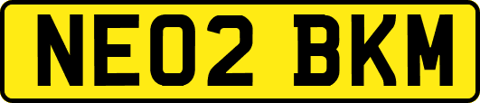 NE02BKM