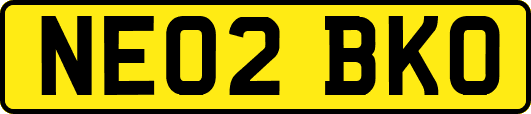 NE02BKO
