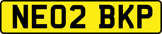 NE02BKP