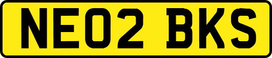 NE02BKS