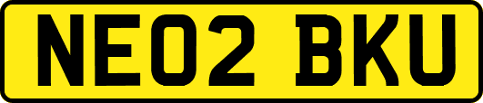 NE02BKU