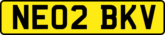 NE02BKV