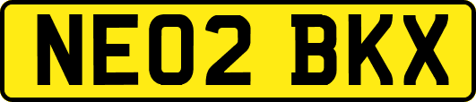 NE02BKX