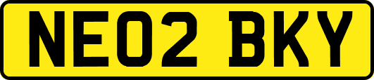 NE02BKY