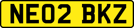 NE02BKZ