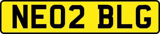 NE02BLG