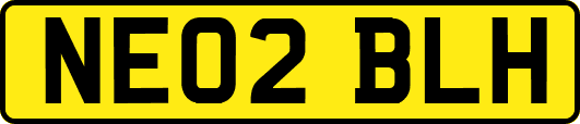 NE02BLH