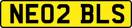 NE02BLS