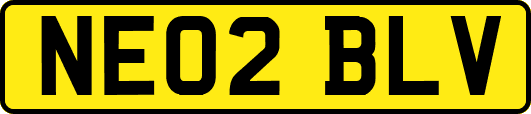 NE02BLV