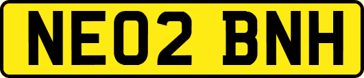 NE02BNH