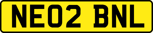 NE02BNL