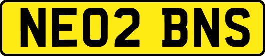 NE02BNS