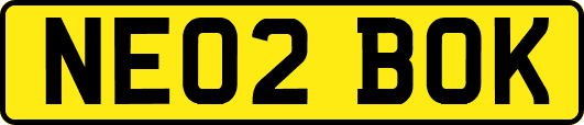 NE02BOK