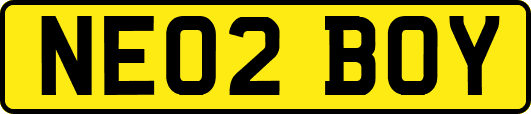 NE02BOY