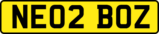NE02BOZ