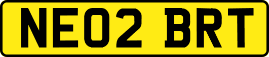NE02BRT