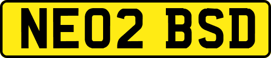 NE02BSD