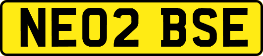 NE02BSE